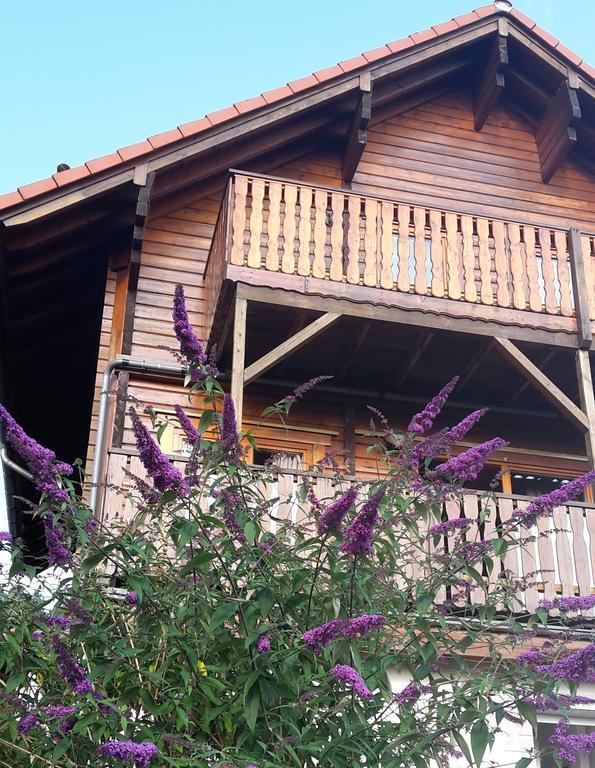 Hilders Ferienhaus Berg.Erleben מראה חיצוני תמונה